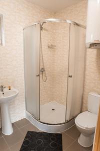 a bathroom with a shower with a toilet and a sink at Camping & Camper place Pasvalys in Pasvalys