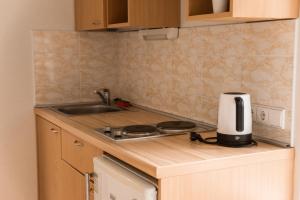 a small kitchen with a stove and a sink at Camping & Camper place Pasvalys in Pasvalys