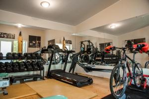 Fitness centrum a/nebo fitness zařízení v ubytování Camping & Camper place Pasvalys