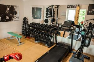 Fitness centrum a/nebo fitness zařízení v ubytování Camping & Camper place Pasvalys