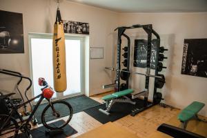 Fitness centrum a/nebo fitness zařízení v ubytování Camping & Camper place Pasvalys