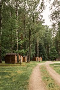 a dirt road next to a forest with trees at Camping & Camper place Pasvalys in Pasvalys