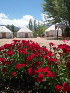 Gallery image of Yurt camp Tosor in Tossor