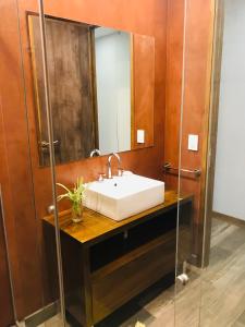 a bathroom with a sink and a mirror at Excelente Apartamento, a metros del Parque San Martín! in Mendoza