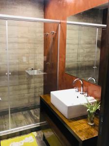 a bathroom with a sink and a shower at Excelente Apartamento, a metros del Parque San Martín! in Mendoza +11 photos