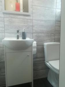 łazienka z białą umywalką i toaletą w obiekcie Cottage house 92 Auqaluna w mieście Podčetrtek