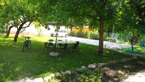 a table and chairs under a tree in a yard at Pensjonat Stary Busko Zdrój in Busko-Zdrój