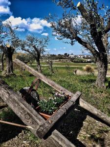une clôture en bois avec un planteur de fleurs dans l'établissement The Olive Grove in Tuscany, à Toiano