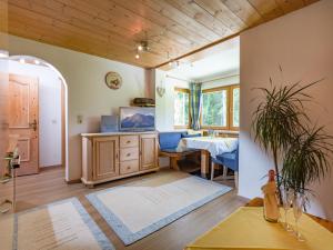 TV a/nebo společenská místnost v ubytování Appartement Kaiserluft