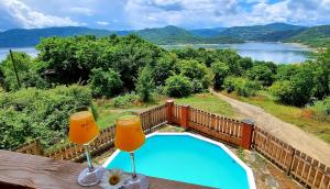 a swimming pool with two glasses of beer on a table at Villa Eskici in Staro Myasto