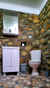 a stone bathroom with a toilet and a stone wall at Villa Eskici in Staro Myasto +30 photos