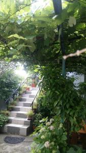 un jardín con una escalera con plantas y flores en Свети Никола, en Sinemorets