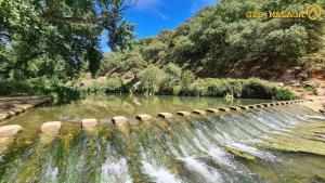 een waterval in een rivier met bomen op de achtergrond bij Vivienda Domínguez Sánchez in Benaoján