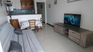 a living room with a couch and a flat screen tv at APT FRONT DE MER DANS RESIDENCE LUXE SECURISEE in Banyuls-sur-Mer