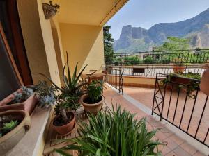 einen Balkon mit Topfpflanzen und Bergblick in der Unterkunft La Locanda del Cedro in Palermo