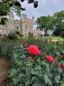 a castle with red flowers in front of it at Charming pink house with perfect location in Whitstable +31 photos
