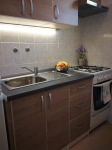 Kuchyň nebo kuchyňský kout v ubytování Apartment Nirvana