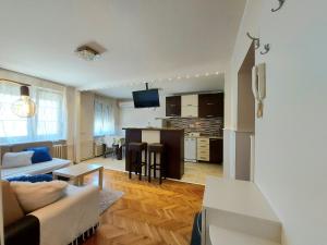 sala de estar con sofá y cocina en Central apartment with garage, en Novi Sad