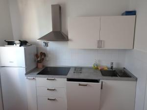 Kuchyň nebo kuchyňský kout v ubytování Apartman David