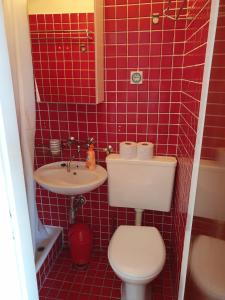 Koupelna v ubytování Apartman David