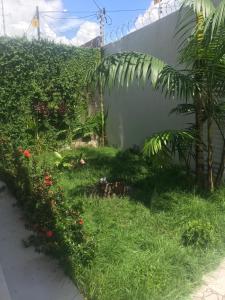 a garden with grass and flowers next to a wall at Casa Pérola do Caeté in Bragança