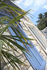 a window on a building with a palm tree at Tepe Hotel in Alaçatı