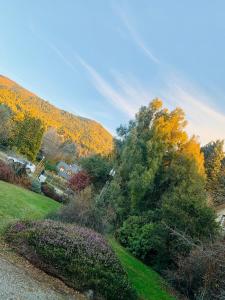a group of trees and bushes in a field at Bungalows Luz del sur in San Carlos de Bariloche