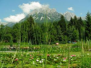 Paesaggio naturale nelle vicinanze dell'appartamento