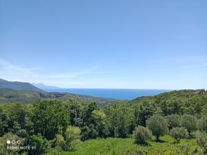 una colina con árboles y vistas al océano en Casa Vacanze La Guardia, en Tortorella