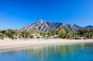 a view of a beach with a mountain in the background at Hostal San Ramón in Marbella