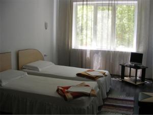 two beds in a room with a window at Guest House Salcia in Maliuc