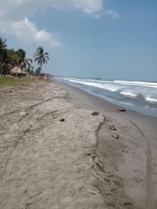 uma praia vazia com palmeiras e o oceano em Portón Náutica em San Bernardo del Viento