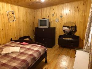 een slaapkamer met een bed en een tv op een kast bij Садиба Орисин Явір Orysyn Yavir in Svityazʼ