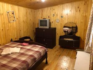 a bedroom with a bed and a tv on a cabinet at Садиба Орисин Явір Orysyn Yavir in Svityazʼ