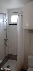 uma casa de banho com um chuveiro, um WC e uma janela. em Courseulles Bellevue em Courseulles-sur-Mer