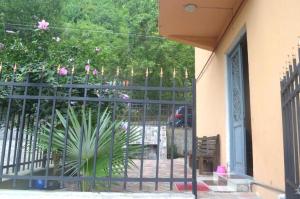 Zahrada ubytování Guest house polaris