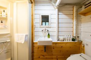 a bathroom with a sink and a toilet at Beaver Lodge Hakuba in Hakuba +75 photos