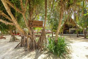 Zahrada ubytování Amahelia Luxury Resort & Restaurant - Gili Asahan