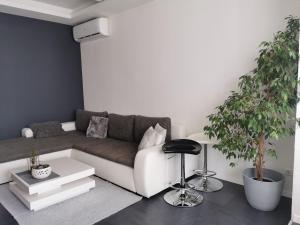a living room with a couch and a plant at Apartment Orchidee in Pula