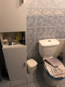 łazienka z toaletą z pająkiem na pokrywie w obiekcie MAISON MEDOC w mieście Gaillan-en-Médoc