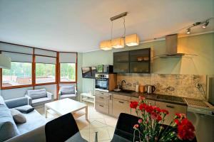 Kuchyňa alebo kuchynka v ubytovaní Apartamenty EverySky - Skalna 32