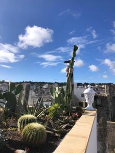 Fotografie z fotogalerie ubytování BACCHINGHAM v destinaci Alessano