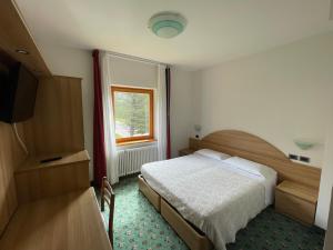 a bedroom with a bed and a television and a window at Albergo La Bicocca in Paneveggio