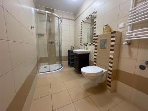 ヤストシェンビャ・グラにあるVilla Nordのバスルーム(シャワー、トイレ、シンク付)