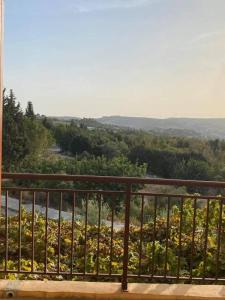 a balcony with a view of a field of flowers at Spring Of Life Forever in Amargeti