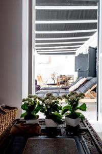 two plants on a table in a room with a window at Casa BOHO in Alaminos