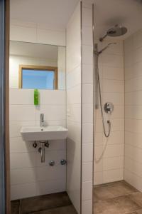 La salle de bains est pourvue d'un lavabo et d'une douche. dans l'établissement Gasthof Adler, à Oberteuringen