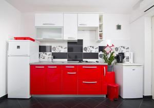 Kuchyň nebo kuchyňský kout v ubytování Apartment Maya 1
