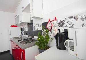 Kuchyň nebo kuchyňský kout v ubytování Apartment Maya 1
