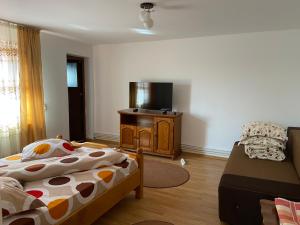 1 dormitorio con 1 cama y TV. en Pensiunea Casa Deny, en Novaci-Străini